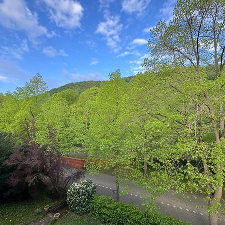 Apartment Villa Elisa Bad Kreuznach Exterior photo