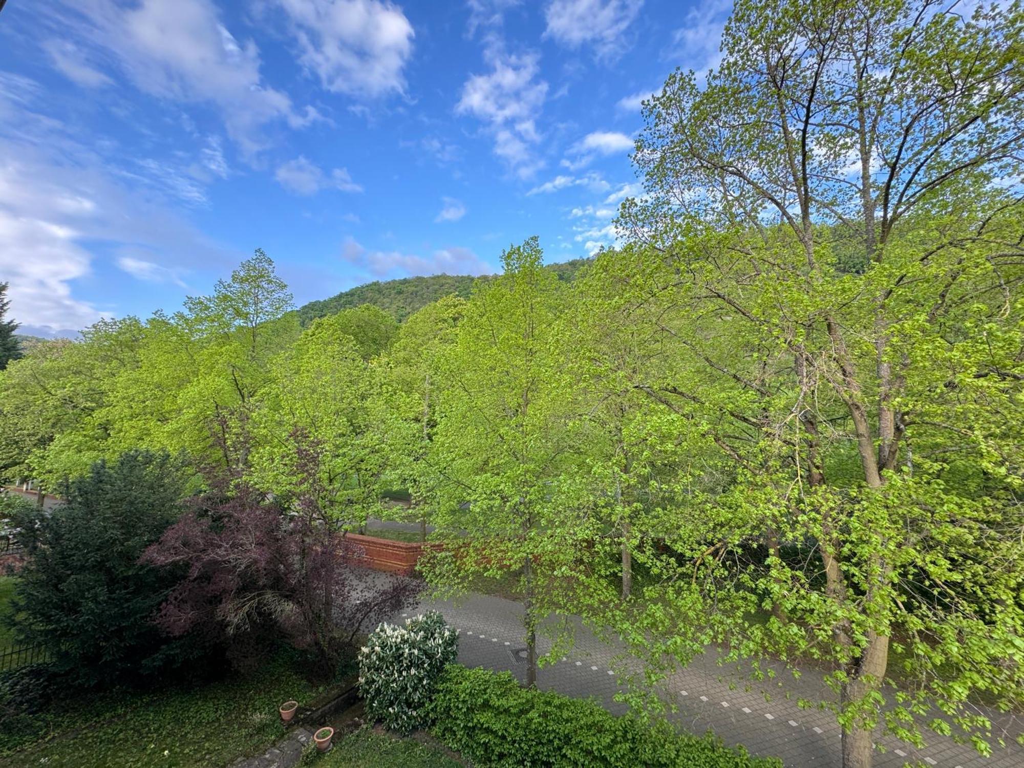 Apartment Villa Elisa Bad Kreuznach Exterior photo